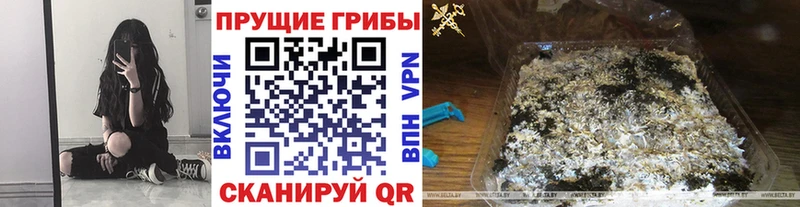 дарнет шоп  Емва  Псилоцибиновые грибы Psilocybine cubensis 